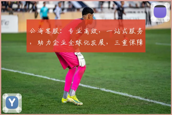 公海客服：专业高效，一站式服务，助力企业全球化发展，三重保障，值得信赖，