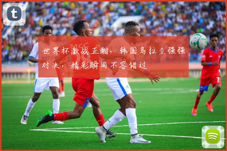 世界杯激战正酣，韩国乌拉圭强强对决，精彩瞬间不容错过