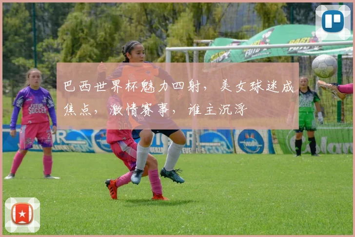 巴西世界杯魅力四射，美女球迷成焦点，激情赛事，谁主沉浮