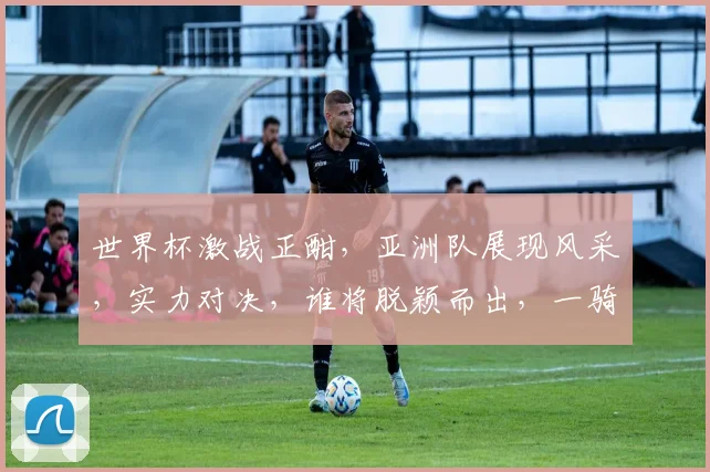 世界杯激战正酣，亚洲队展现风采，实力对决，谁将脱颖而出，一骑绝尘