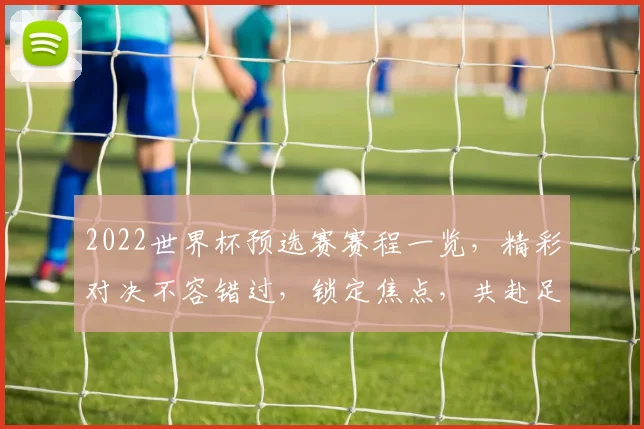2022世界杯预选赛赛程一览，精彩对决不容错过，锁定焦点，共赴足球盛宴
