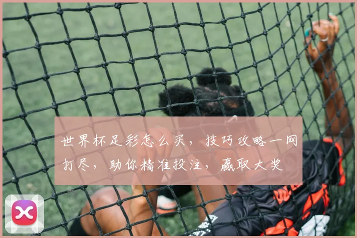 世界杯足彩怎么买，技巧攻略一网打尽，助你精准投注，赢取大奖