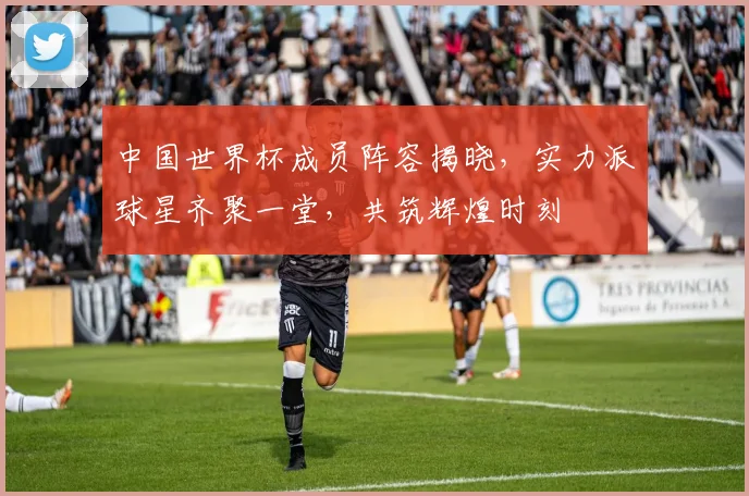 中国世界杯成员阵容揭晓，实力派球星齐聚一堂，共筑辉煌时刻